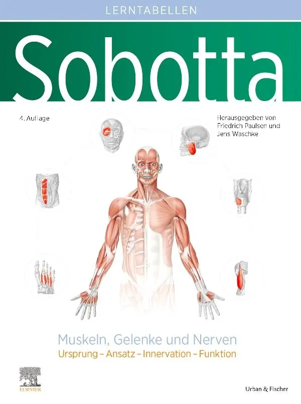 Cover: 9783437441608 | Sobotta Lerntabellen Anatomie Muskeln, Gelenke und Nerven | Buch | VI