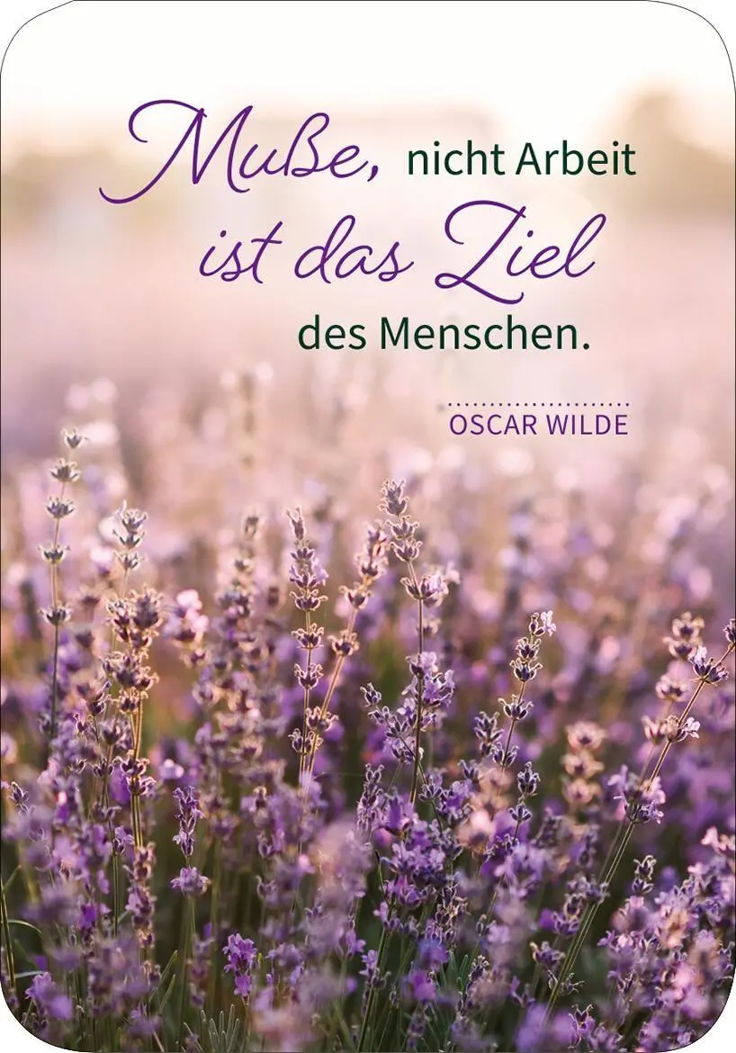 Bild: 9783845871608 | Gelassenheit für jeden Tag | 50 Kärtchen für entspannte Momente | Buch