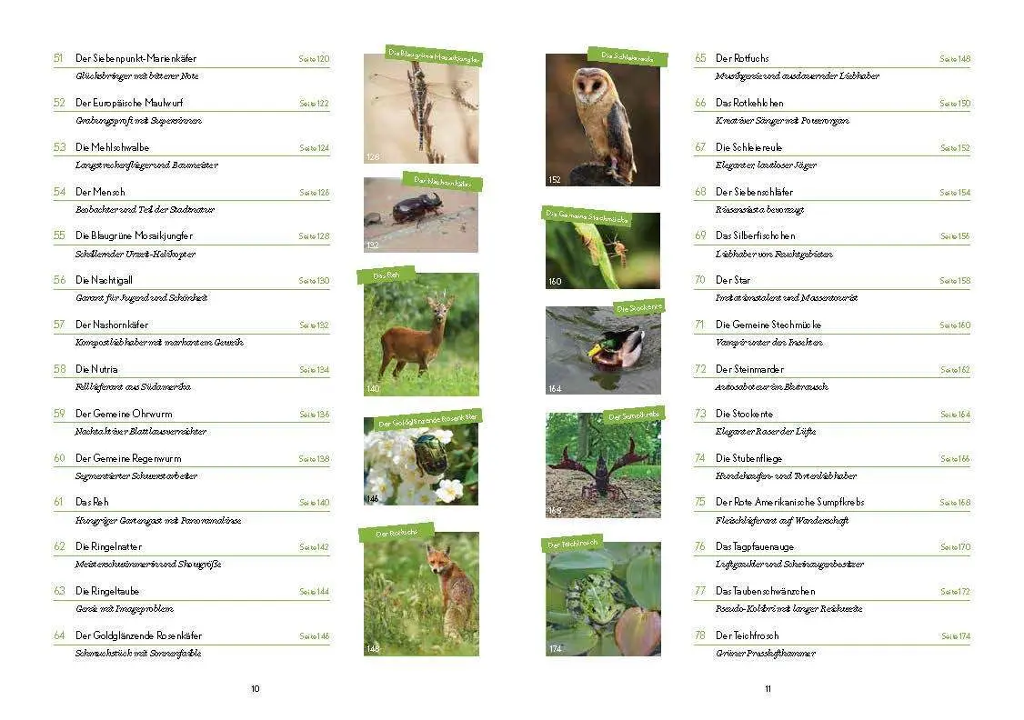Bild: 9783959101608 | Stadtwild | Nicolas Bogislav von Lettow-Vorbeck | Taschenbuch | 208 S.