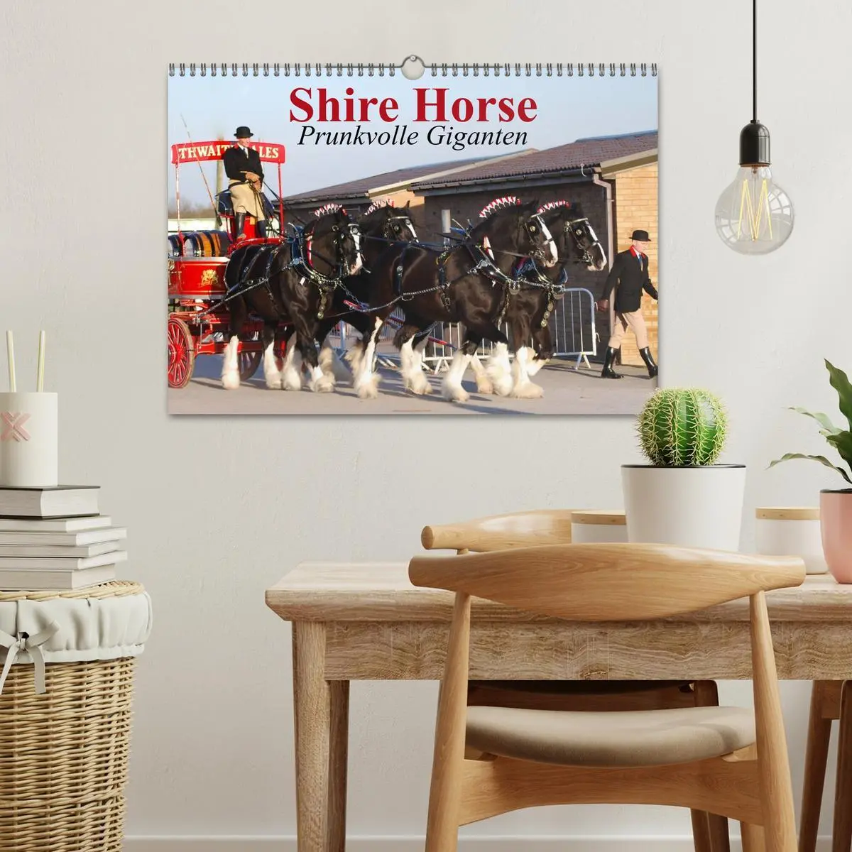Bild: 9783435761708 | Shire Horse ¿ Prunkvolle Giganten (Wandkalender 2025 DIN A3 quer),...
