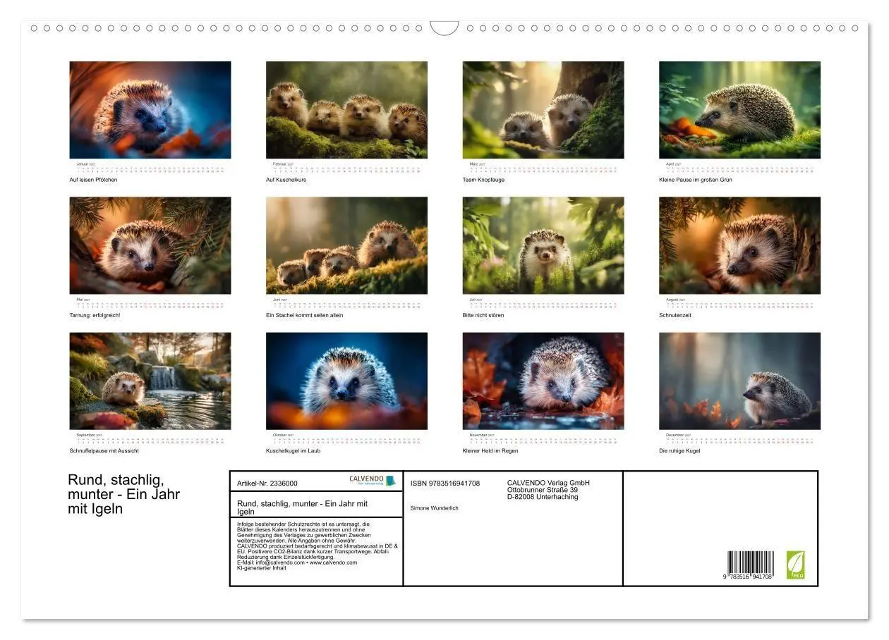 Bild: 9783516941708 | Rund, stachlig, munter - Ein Jahr mit Igeln (Wandkalender 2027 DIN...