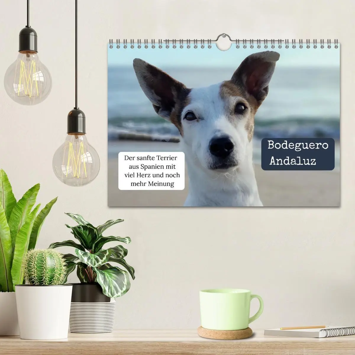 Bild: 9783569411708 | Ratonero Bodeguero Andaluz (Wandkalender 2027 DIN A4 quer),...