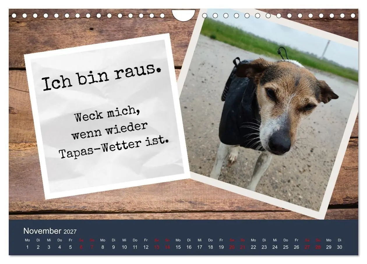 Bild: 9783569411708 | Ratonero Bodeguero Andaluz (Wandkalender 2027 DIN A4 quer),...