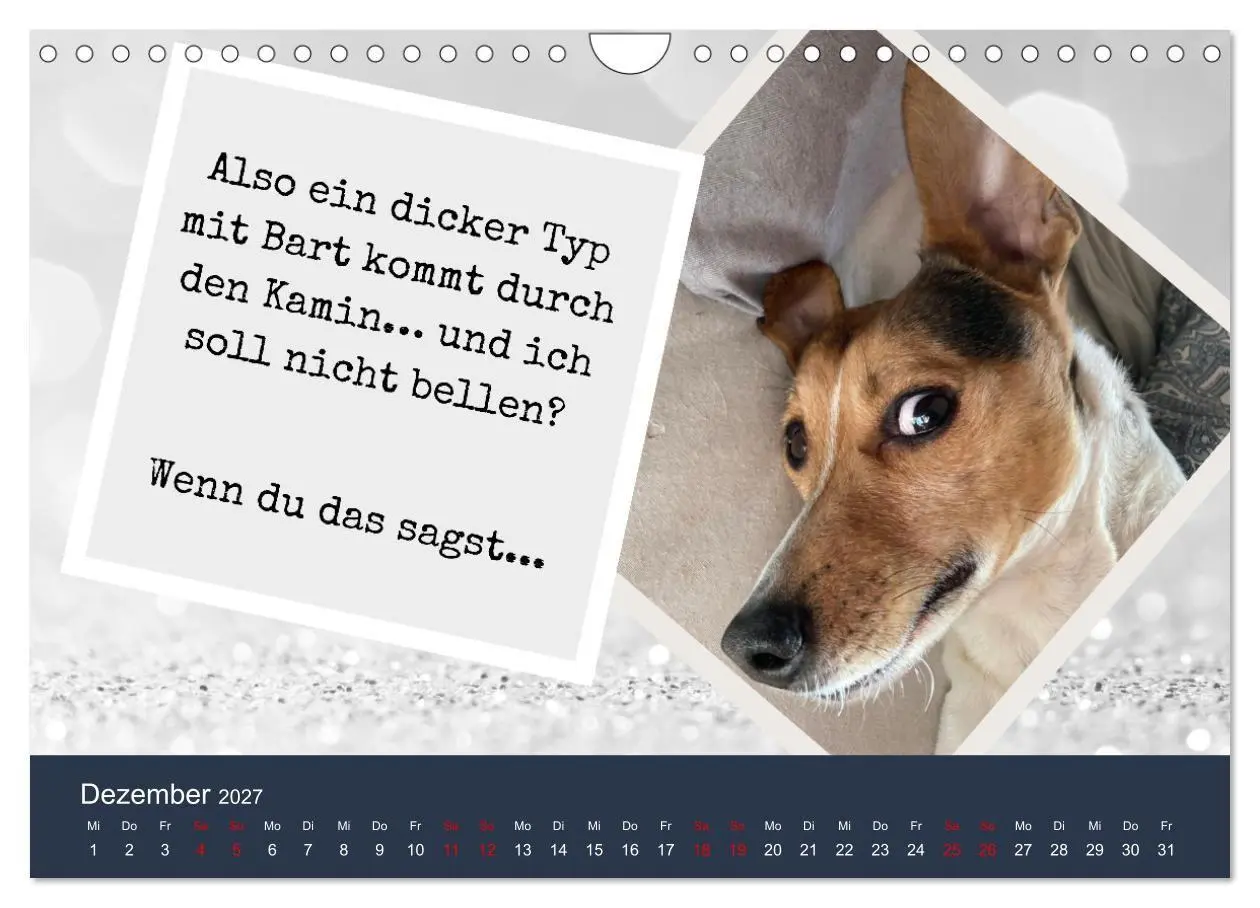 Bild: 9783569411708 | Ratonero Bodeguero Andaluz (Wandkalender 2027 DIN A4 quer),...