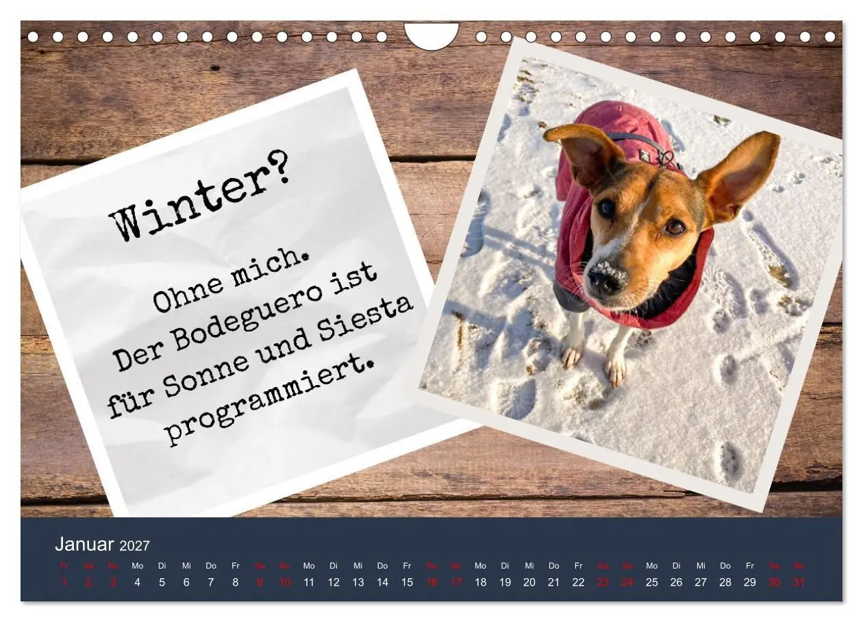 Bild: 9783569411708 | Ratonero Bodeguero Andaluz (Wandkalender 2027 DIN A4 quer),...