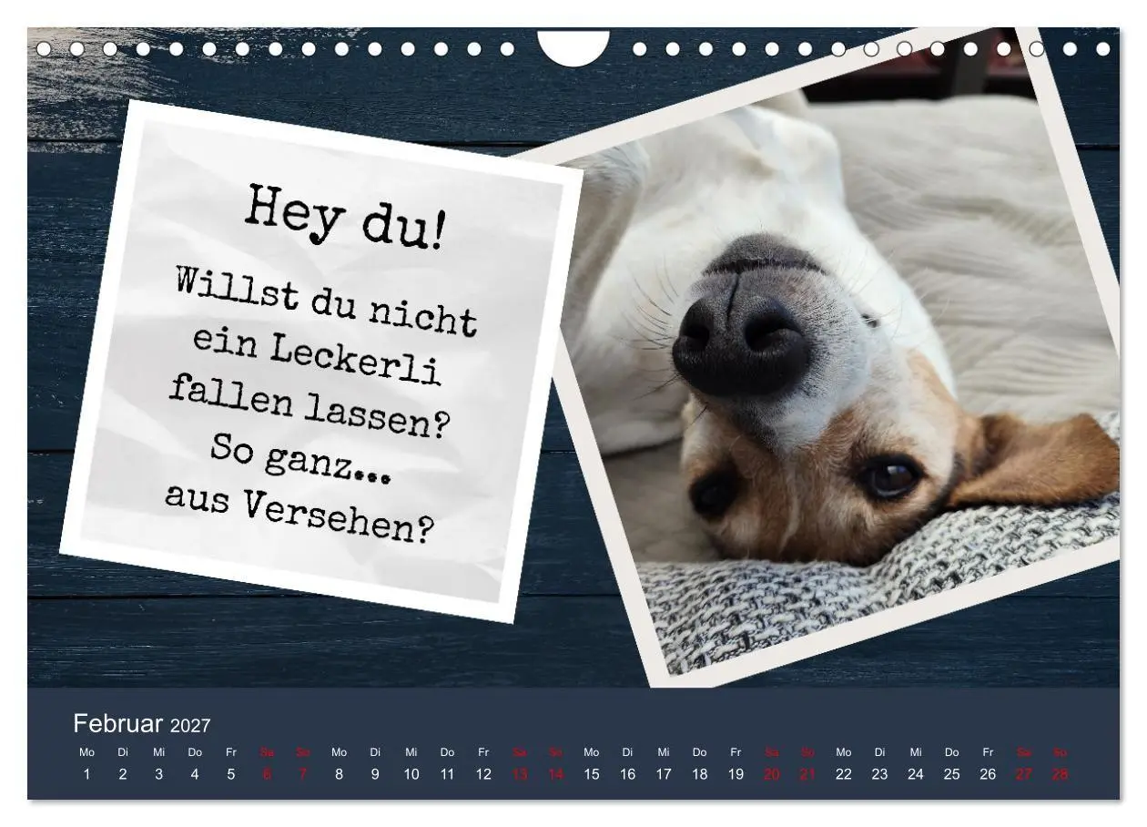 Bild: 9783569411708 | Ratonero Bodeguero Andaluz (Wandkalender 2027 DIN A4 quer),...