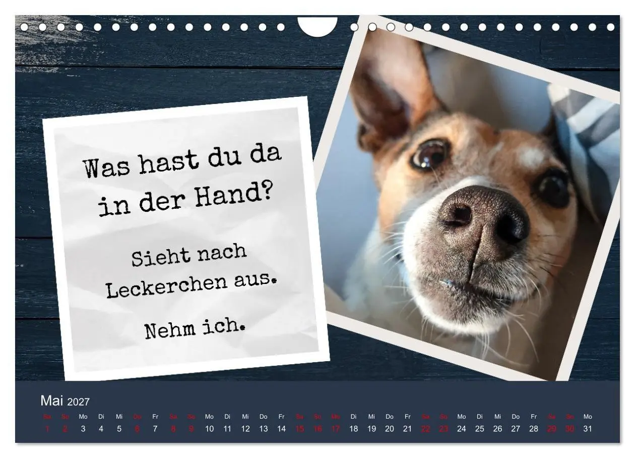 Bild: 9783569411708 | Ratonero Bodeguero Andaluz (Wandkalender 2027 DIN A4 quer),...