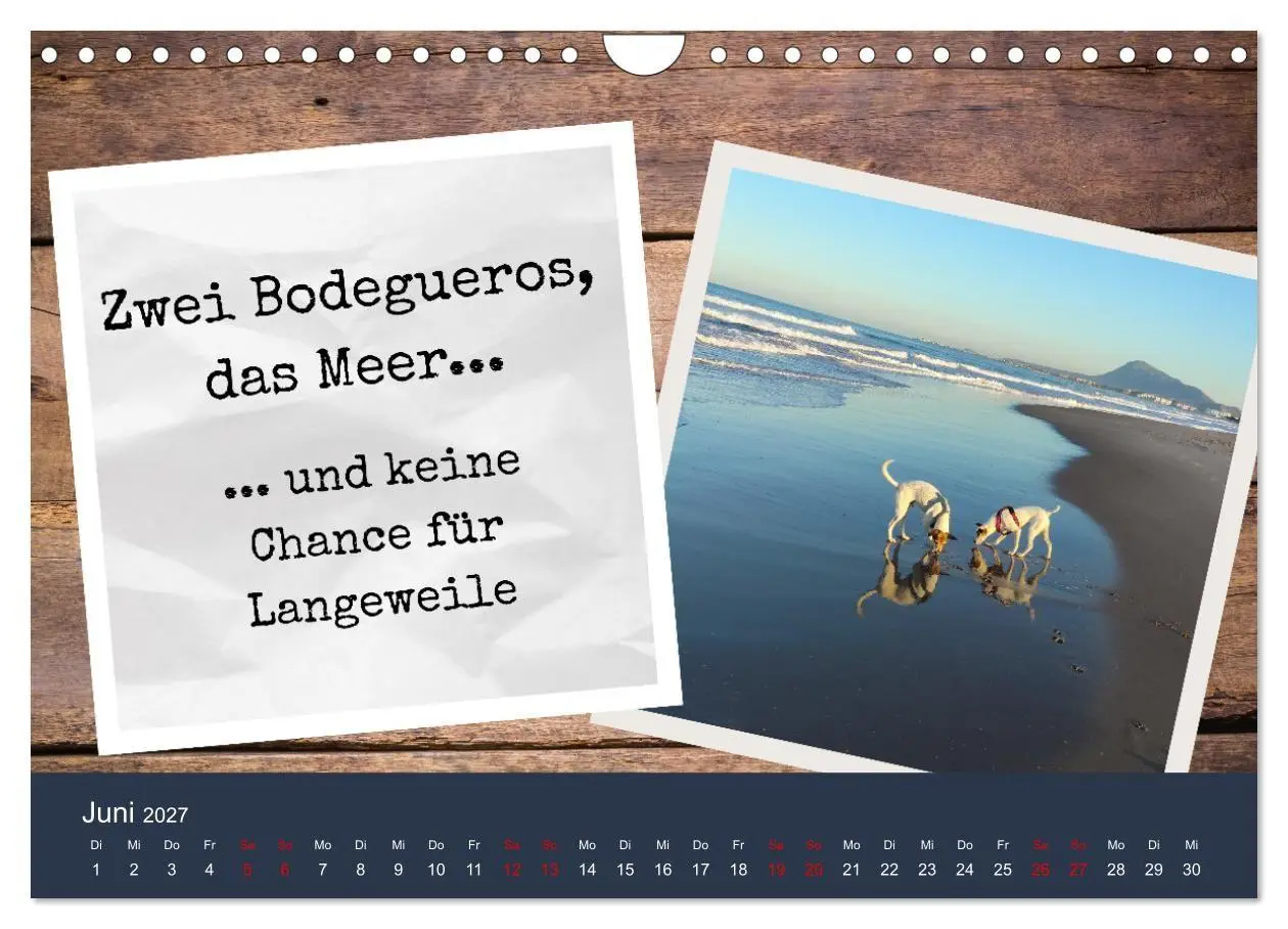 Bild: 9783569411708 | Ratonero Bodeguero Andaluz (Wandkalender 2027 DIN A4 quer),...