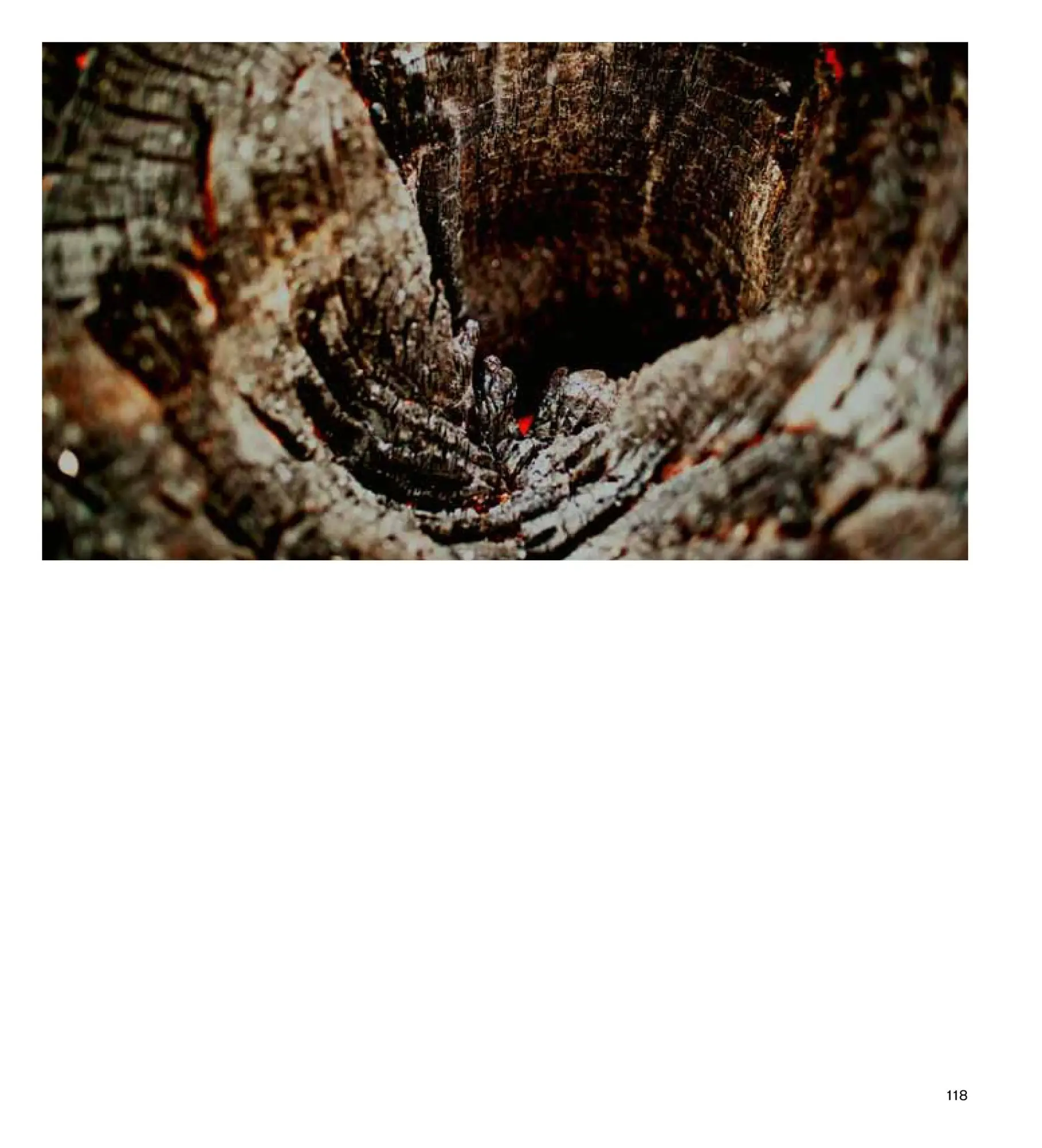 Bild: 9783702511708 | GIVE NATURE A BREAK. | Edgar Honetschläger | Honetschläger Edgar