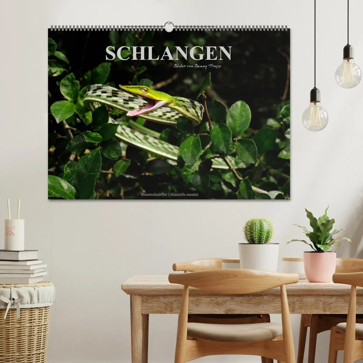 Bild: 9783516171808 | Schlangen (Wandkalender 2026 DIN A2 quer), CALVENDO Monatskalender