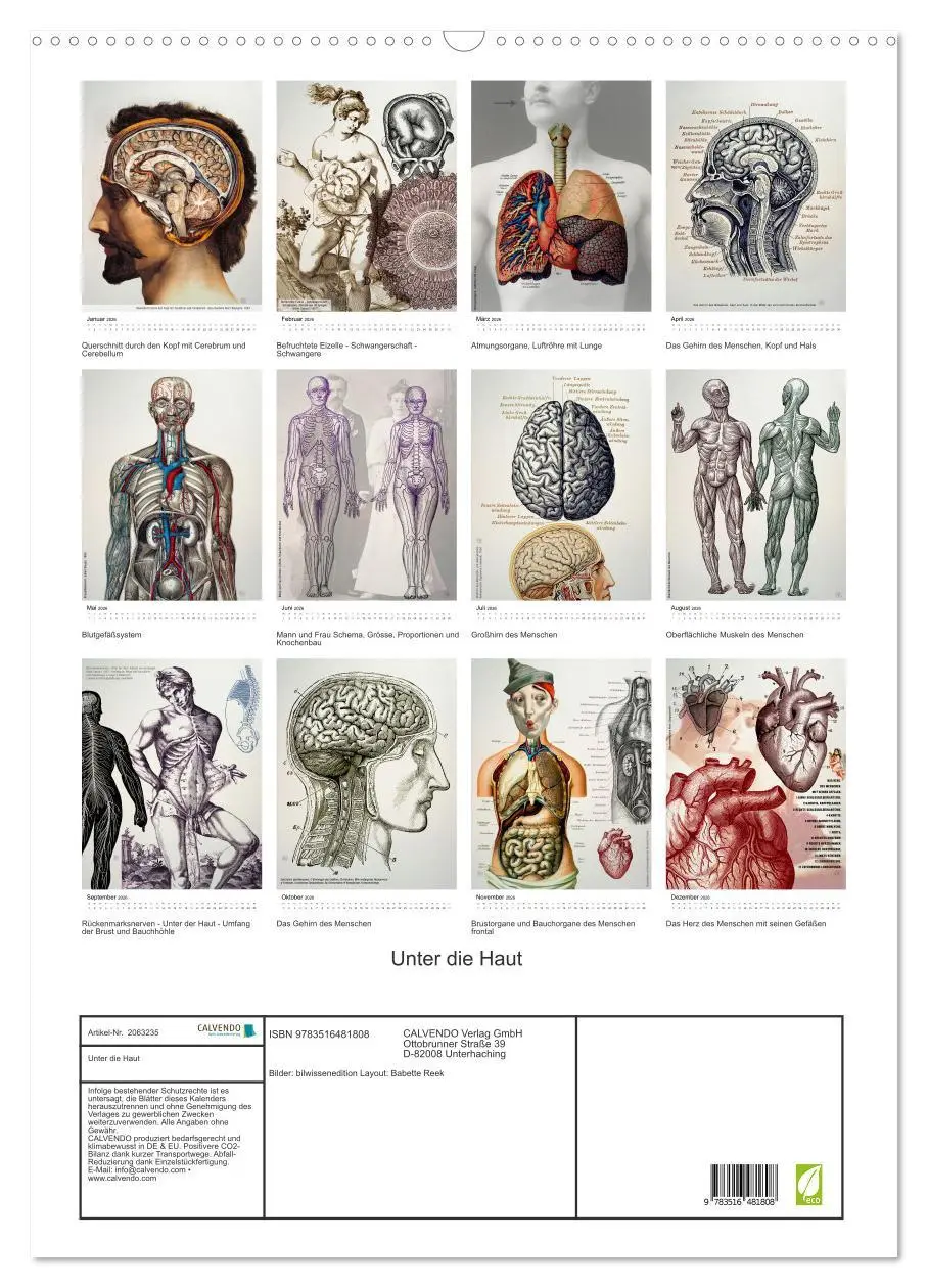 Bild: 9783516481808 | Unter die Haut (Wandkalender 2026 DIN A2 hoch), CALVENDO...