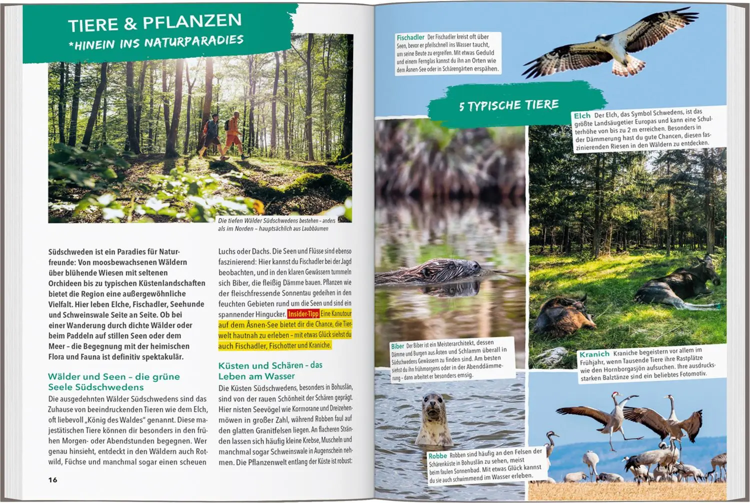 Bild: 9783575021908 | MARCO POLO OUTDOOR GUIDE Reiseführer Südschweden, Stockholm | Hensel
