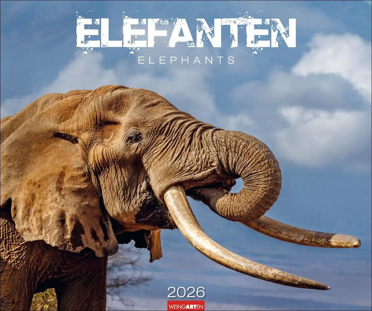 Cover: 9783839901908 | Elefanten Kalender 2026 | Kalender | Spiralbindung | 14 S. | Deutsch
