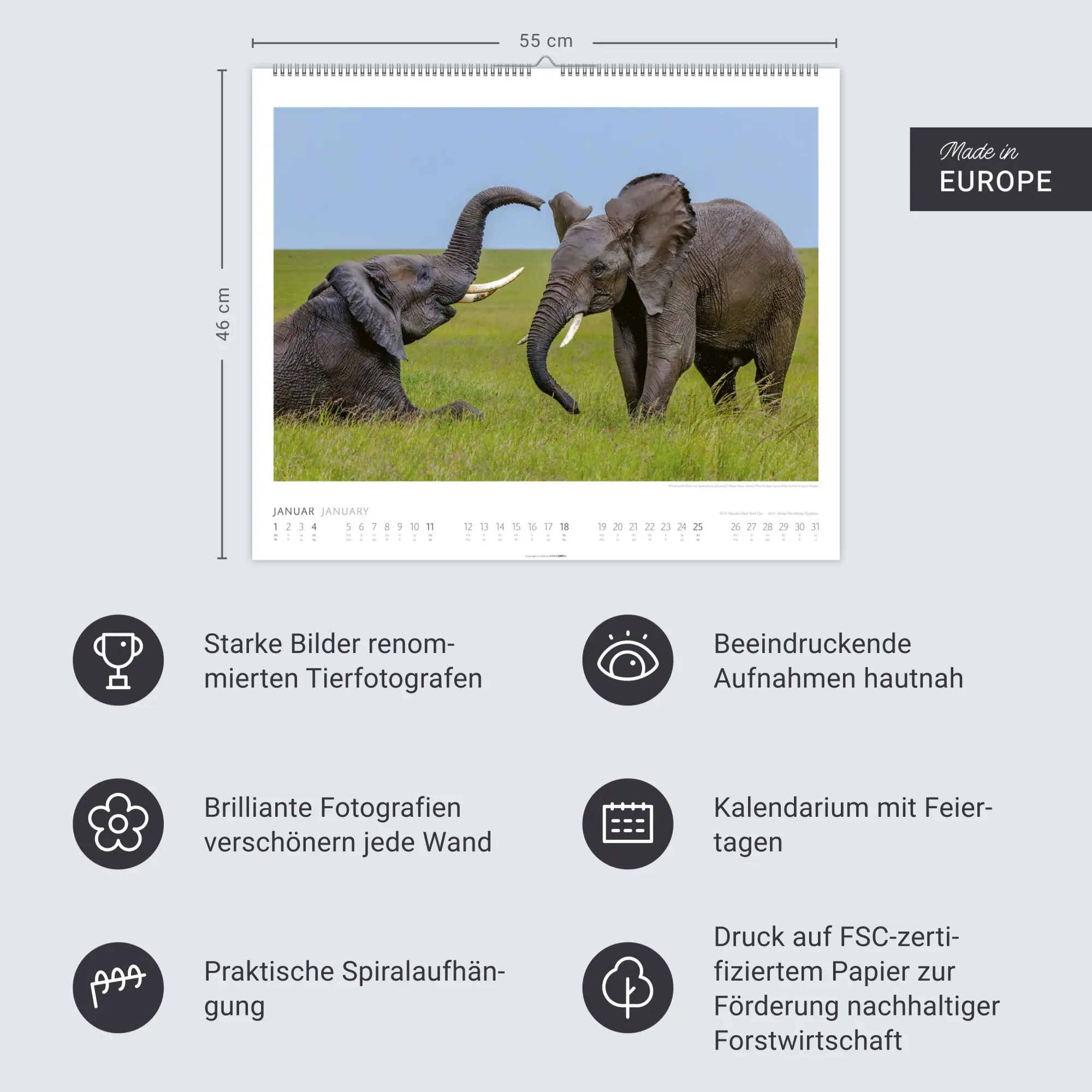 Bild: 9783839901908 | Elefanten Kalender 2026 | Kalender | Spiralbindung | 14 S. | Deutsch