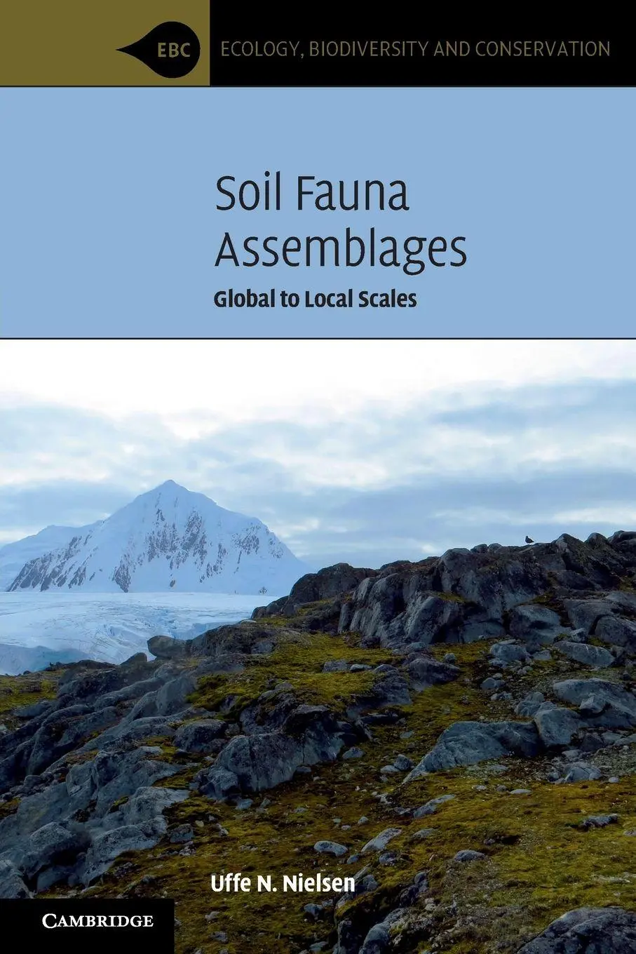 Cover: 9781316642108 | Soil Fauna Assemblages | Uffe N. Nielsen | Taschenbuch | Englisch