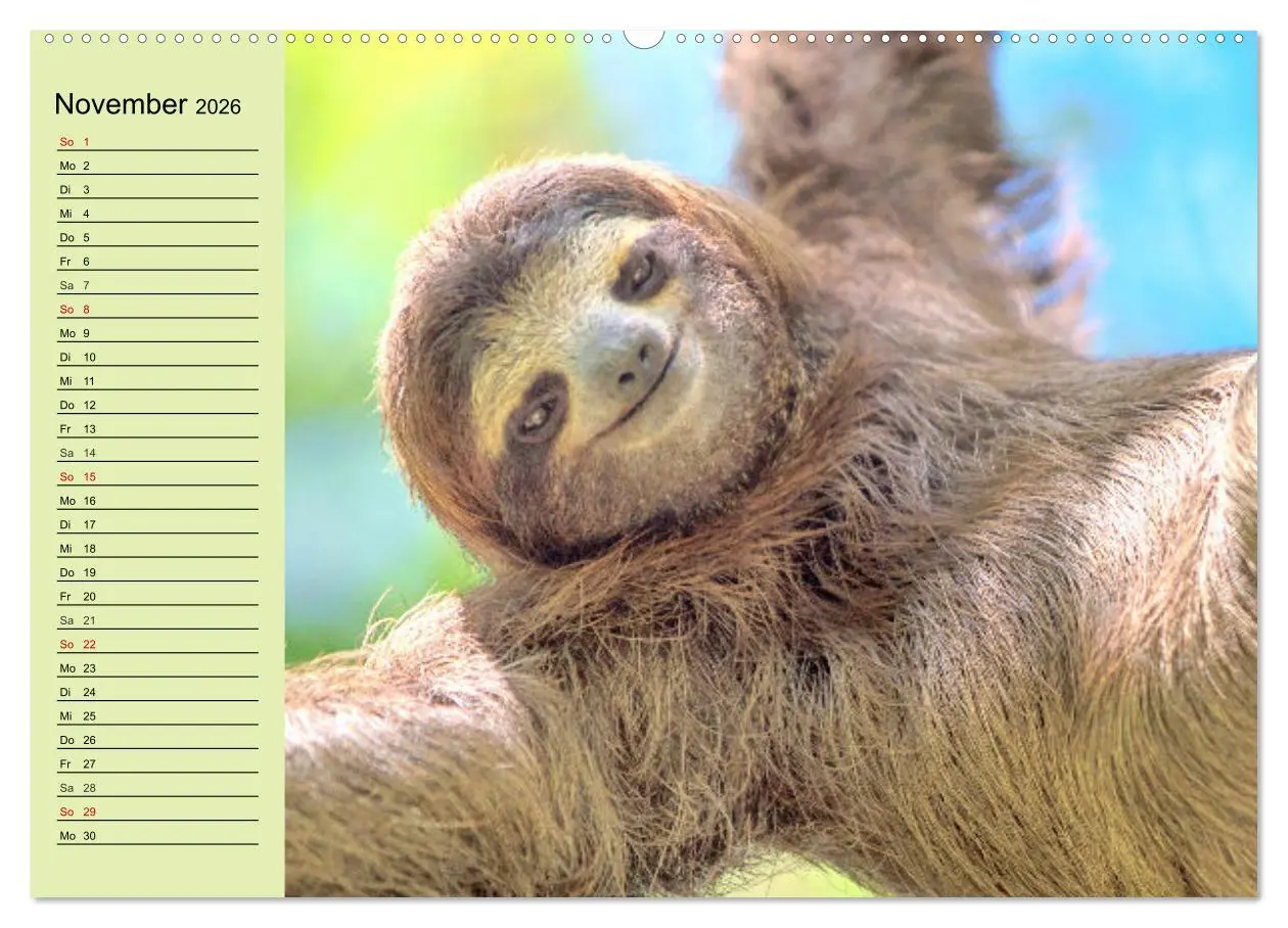 Bild: 9783457632208 | Der Faultier-Planer für mehr Ruhe und Gemütlichkeit! (Wandkalender...