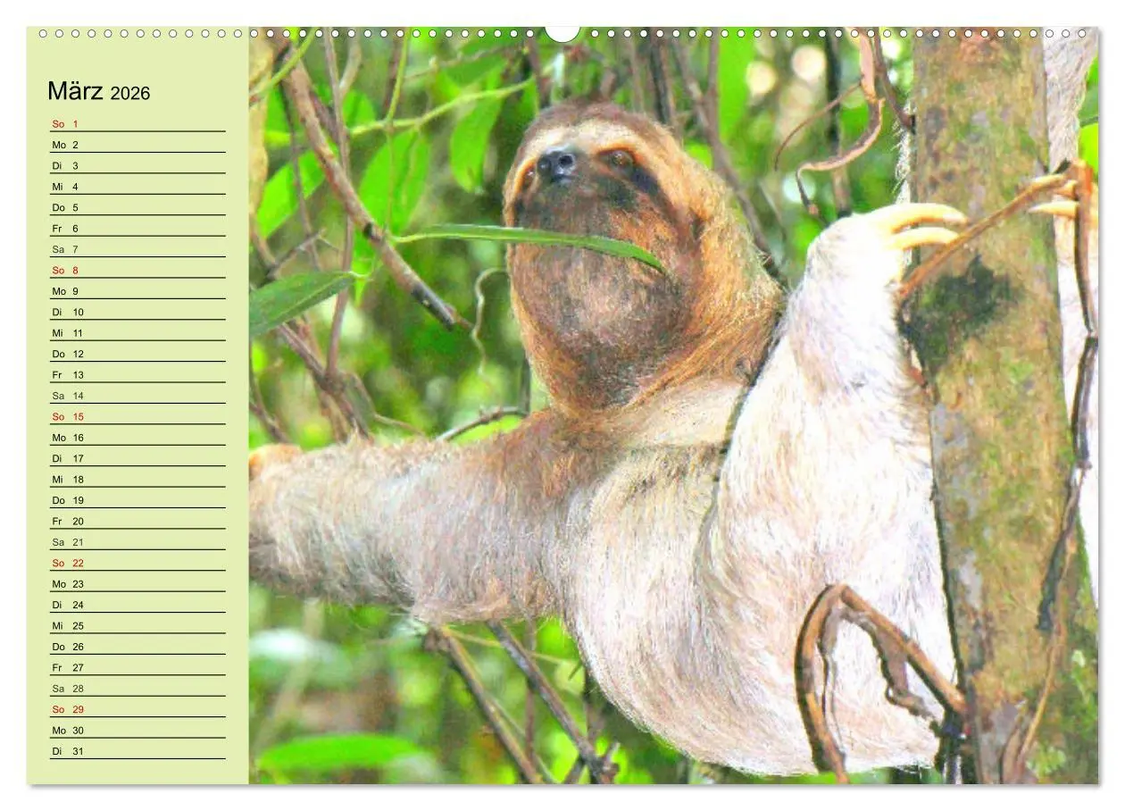 Bild: 9783457632208 | Der Faultier-Planer für mehr Ruhe und Gemütlichkeit! (Wandkalender...