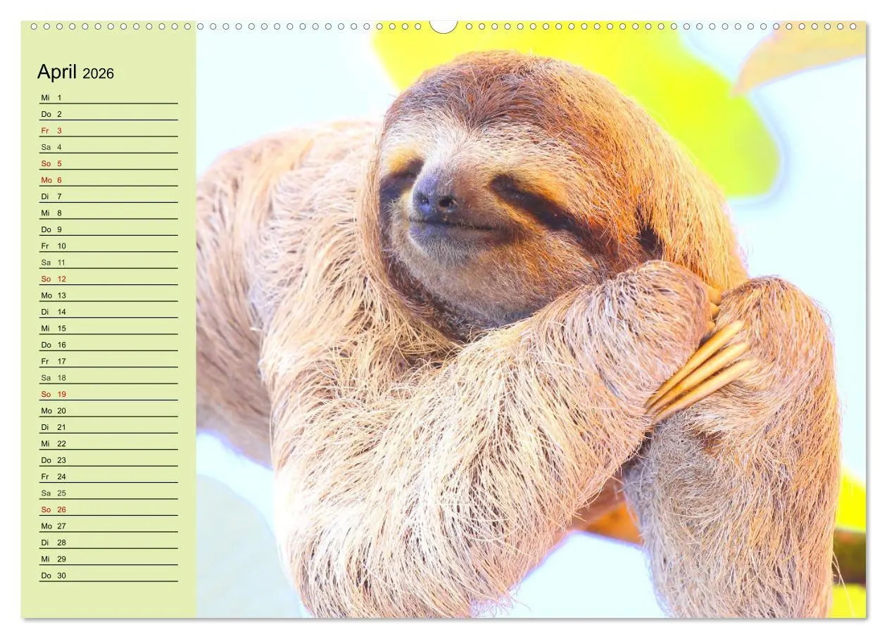 Bild: 9783457632208 | Der Faultier-Planer für mehr Ruhe und Gemütlichkeit! (Wandkalender...