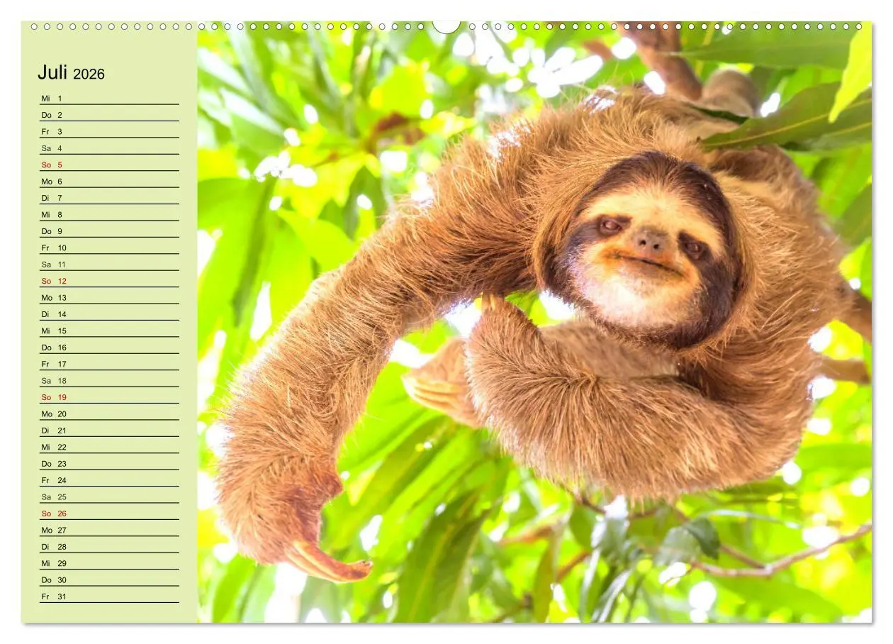 Bild: 9783457632208 | Der Faultier-Planer für mehr Ruhe und Gemütlichkeit! (Wandkalender...