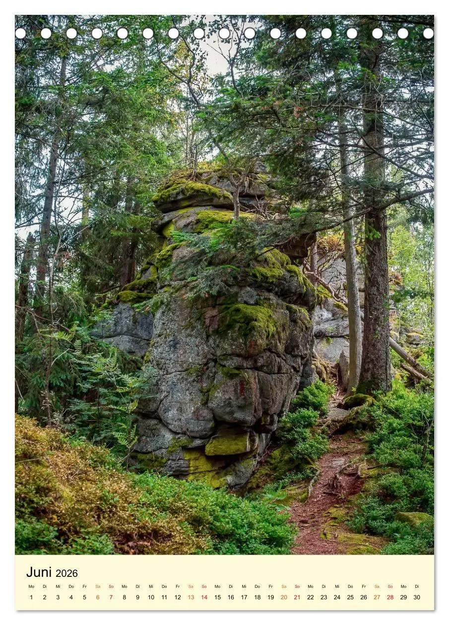 Bild: 9783516342208 | Abenteuer Nationalpark in Deutschland (Tischkalender 2026 DIN A5...