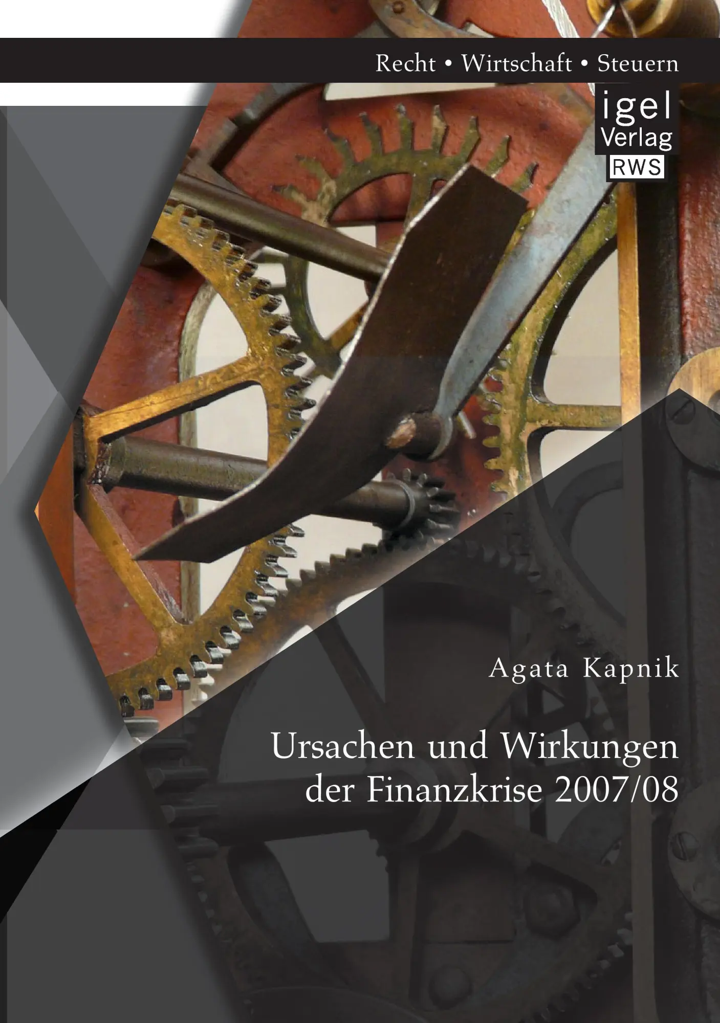 Cover: 9783954852208 | Ursachen und Wirkungen der Finanzkrise 2007/08 | Agata Kapnik | Buch