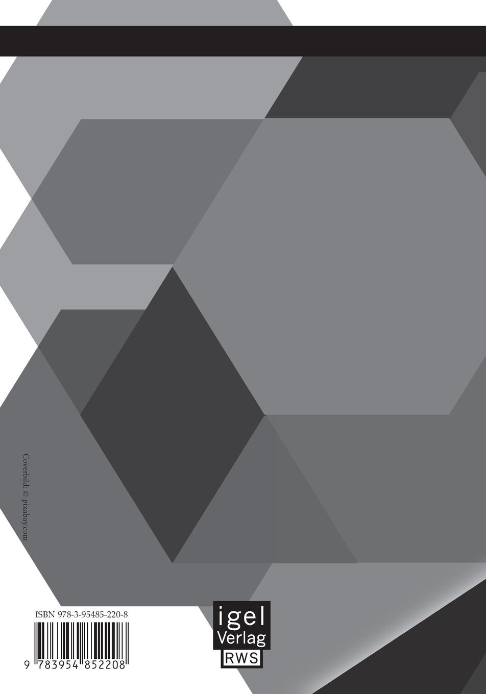 Rückseite: 9783954852208 | Ursachen und Wirkungen der Finanzkrise 2007/08 | Agata Kapnik | Buch
