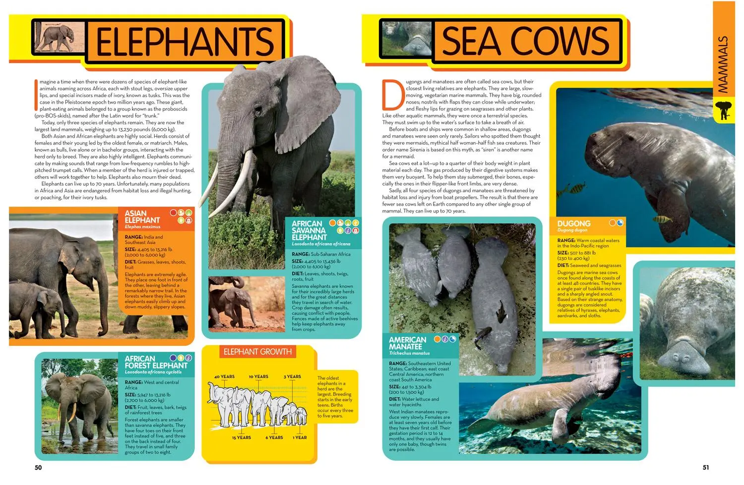 Bild: 9781426372308 | National Geographic Kids Animal Encyclopedia, 2nd Edition | Geographic