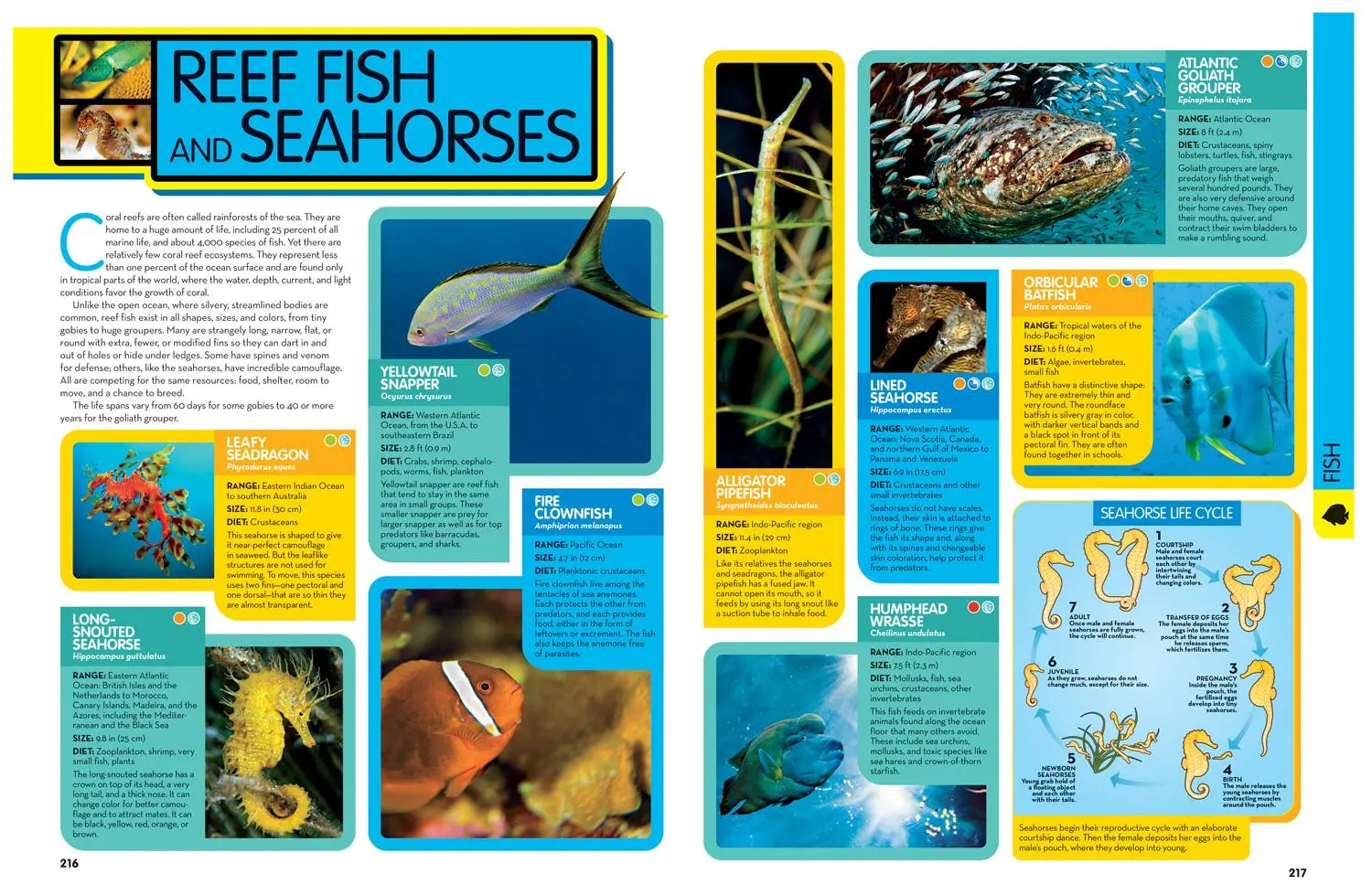 Bild: 9781426372308 | National Geographic Kids Animal Encyclopedia, 2nd Edition | Geographic