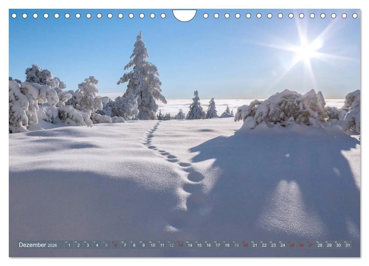 Bild: 9783457862308 | Die Jahreszeiten im Nordschwarzwald (Wandkalender 2026 DIN A4...