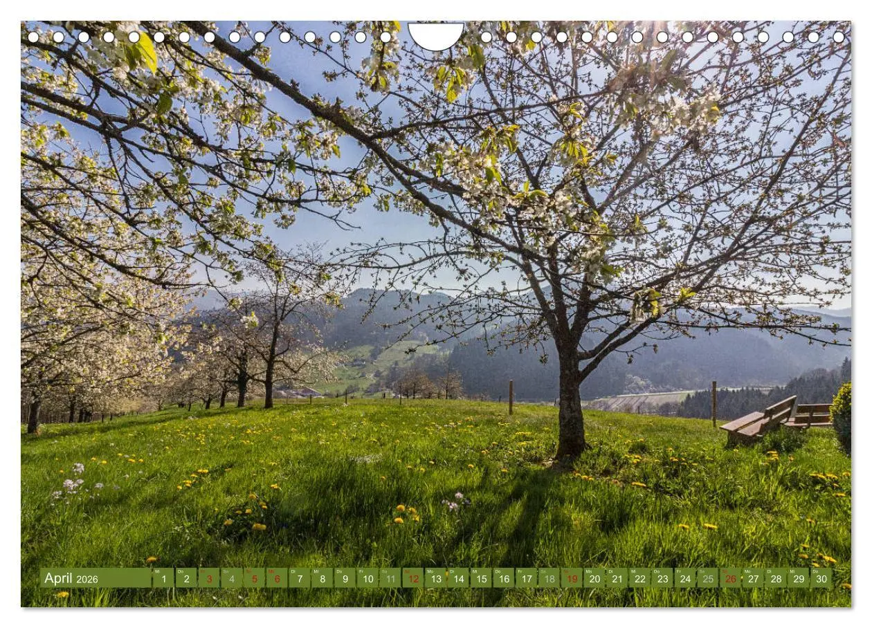 Bild: 9783457862308 | Die Jahreszeiten im Nordschwarzwald (Wandkalender 2026 DIN A4...