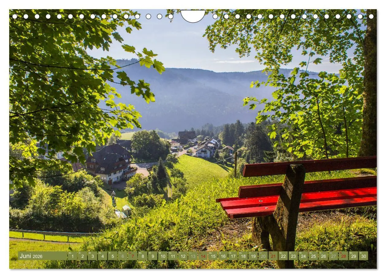 Bild: 9783457862308 | Die Jahreszeiten im Nordschwarzwald (Wandkalender 2026 DIN A4...
