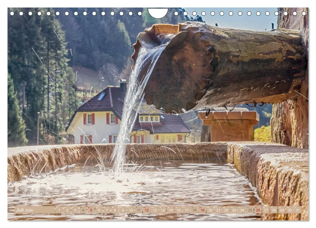 Bild: 9783457862308 | Die Jahreszeiten im Nordschwarzwald (Wandkalender 2026 DIN A4...