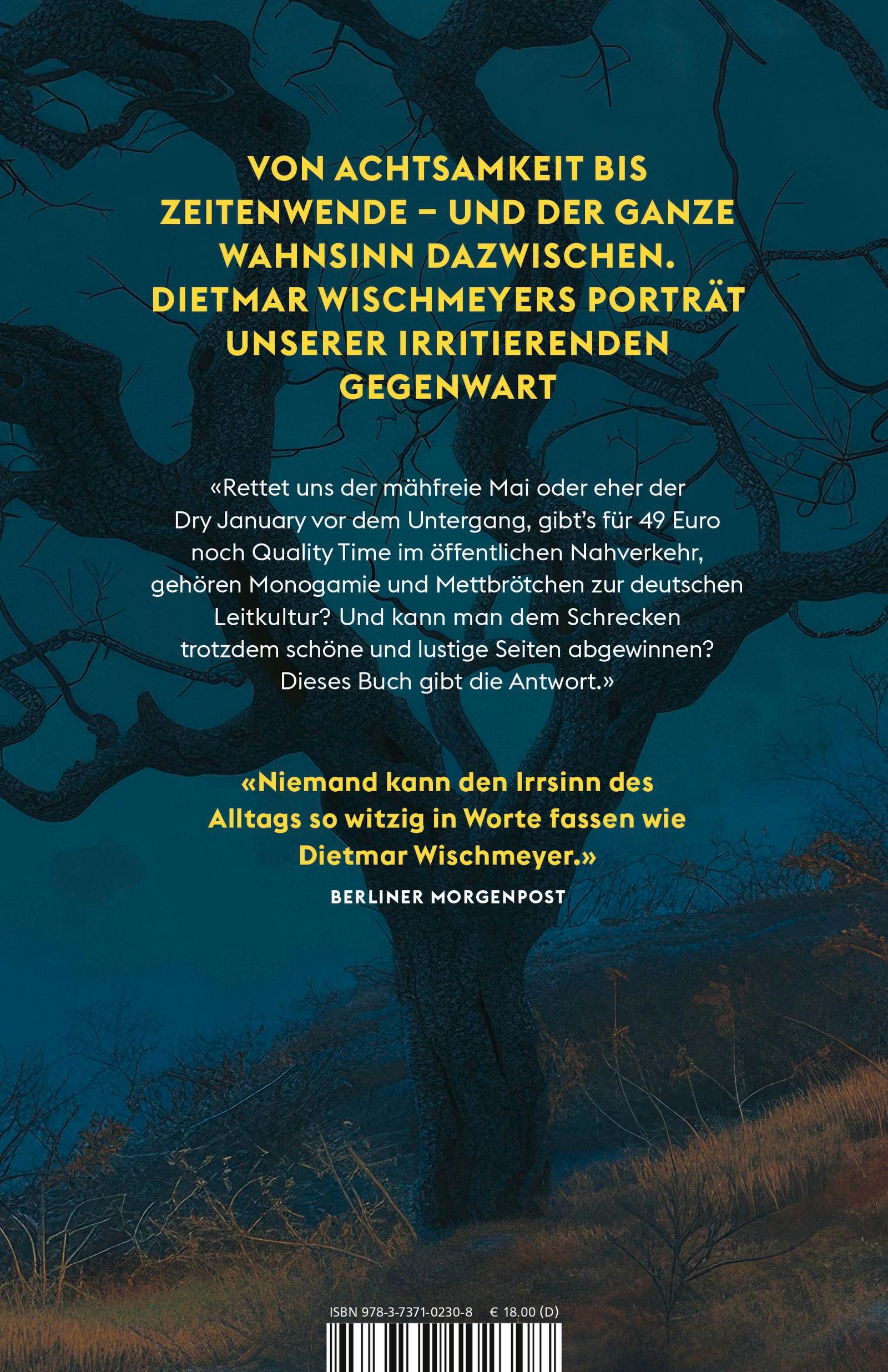 Rückseite: 9783737102308 | Vergeigt, verkackt, versemmelt | Dietmar Wischmeyer | Taschenbuch