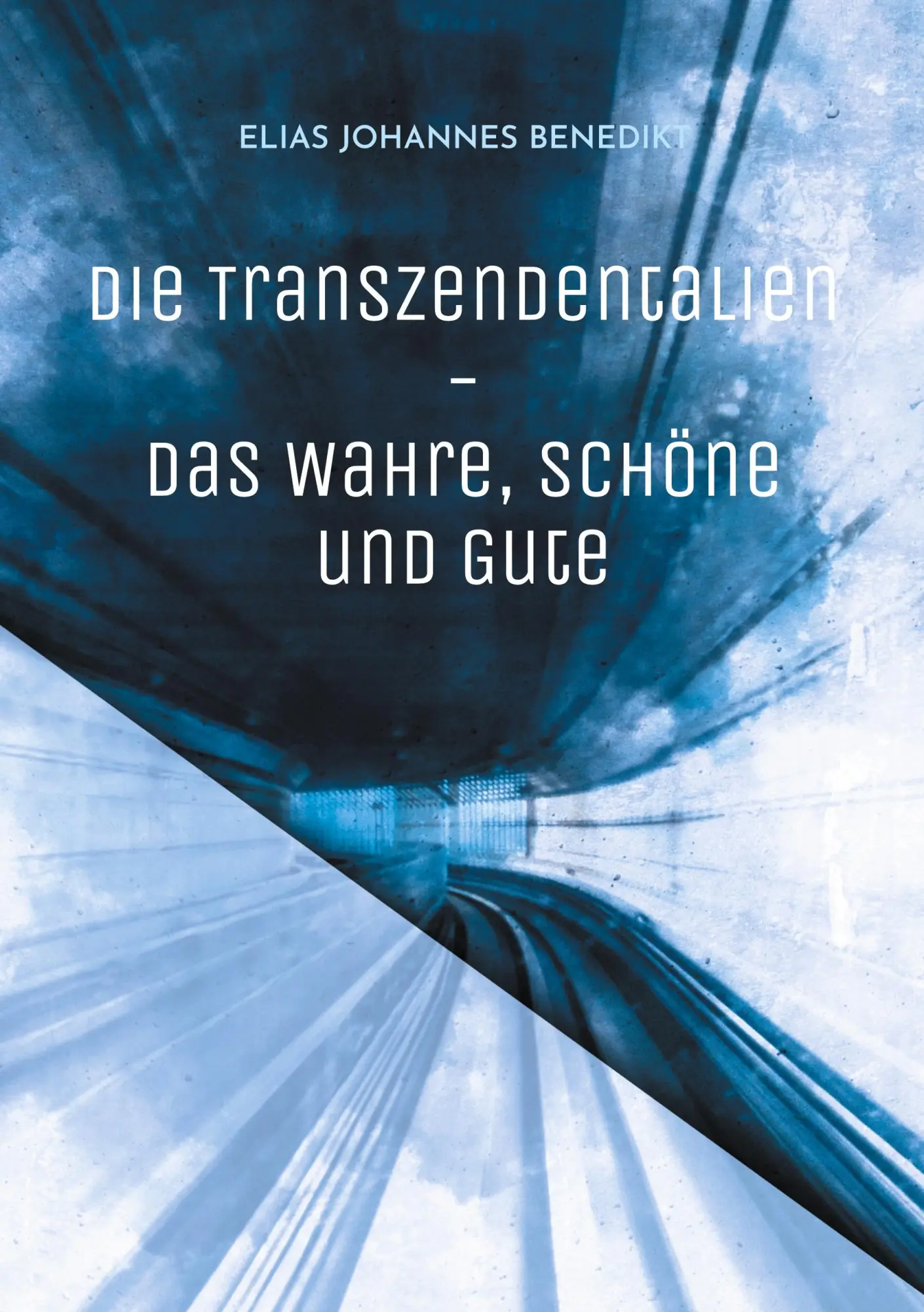 Cover: 9783819202308 | Die Transzendentalien | Logik, Ethik und Ästhetik | Benedikt | Buch