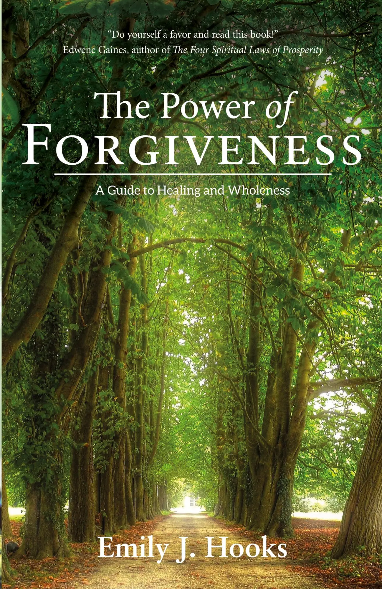 Cover: 9780998552408 | The Power of Forgiveness | A Guide to Healing and Wholeness | Hooks