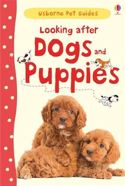 Cover: 9781409532408 | Looking after Dogs and Puppies | Katherine Starke | Buch | Gebunden