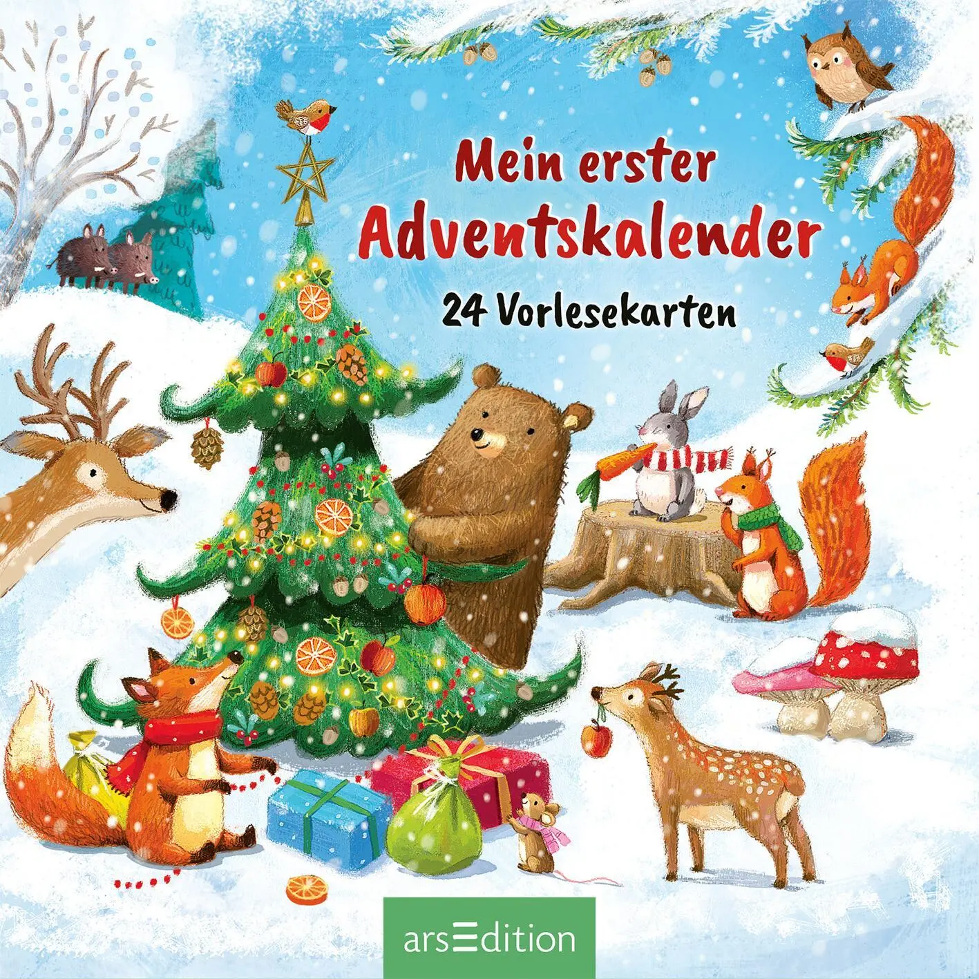 Bild: 9783845862408 | Mein erster Adventskalender | 24 Vorlesekarten | Joschi Mühl | Buch