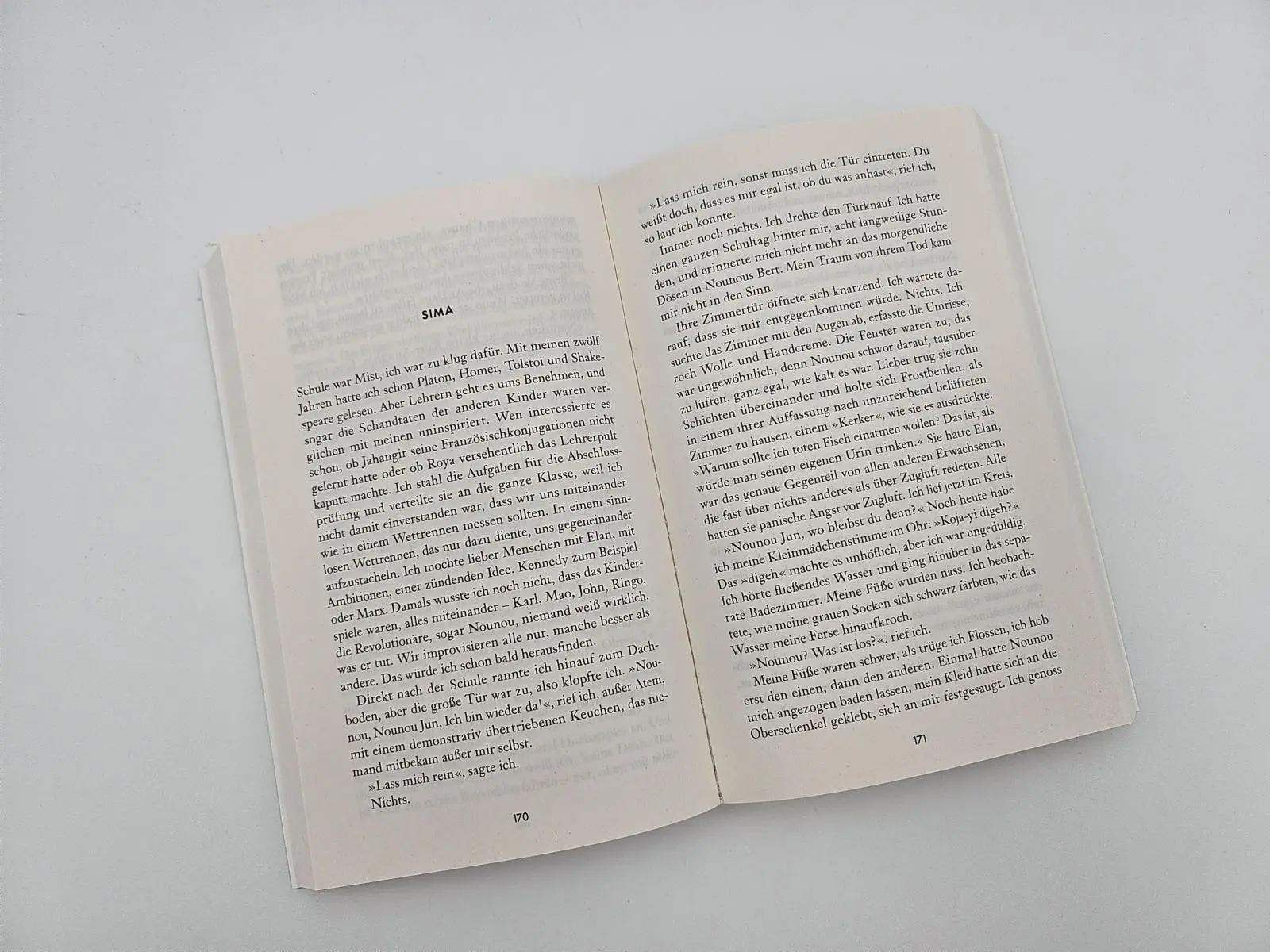 Bild: 9783492322508 | Die Perserinnen | Roman Shortlist des Women´s Prize for Fiction 2025