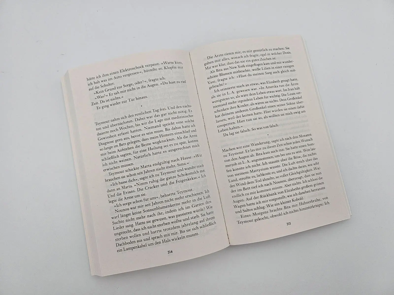 Bild: 9783492322508 | Die Perserinnen | Roman Shortlist des Women´s Prize for Fiction 2025