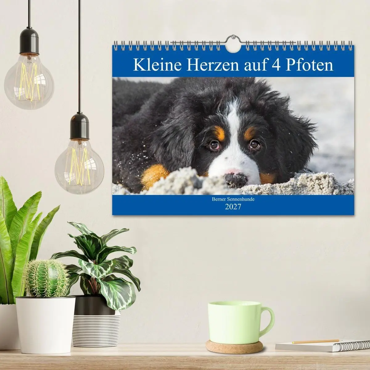 Bild: 9783569642508 | Kleine Herzen auf 4 Pfoten - Berner Sennenhunde (Wandkalender 2027...