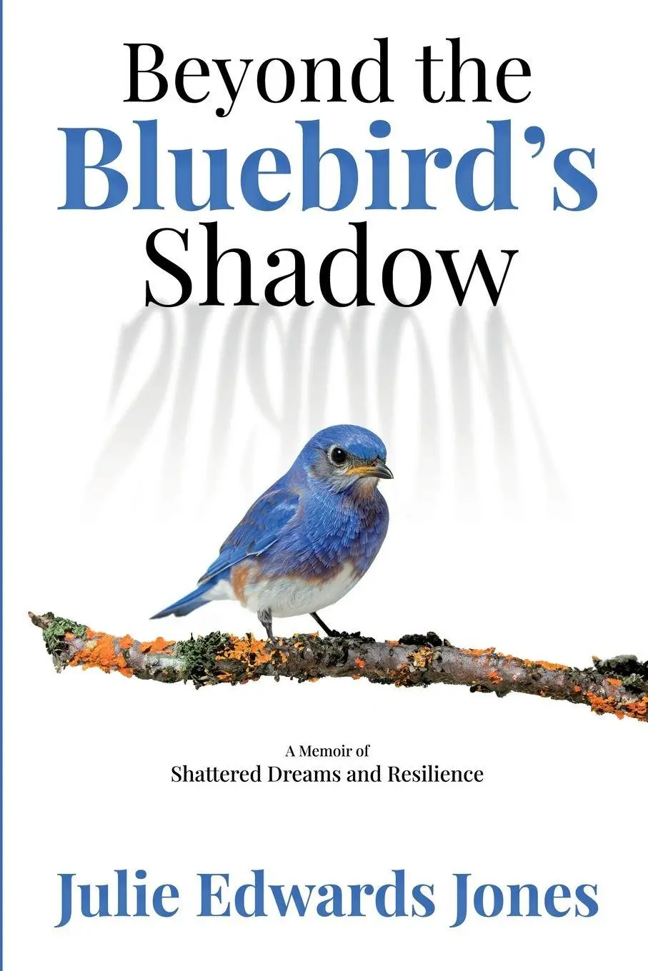 Cover: 9798991562508 | Beyond the Bluebird's Shadow | Julie Edwards Jones | Taschenbuch