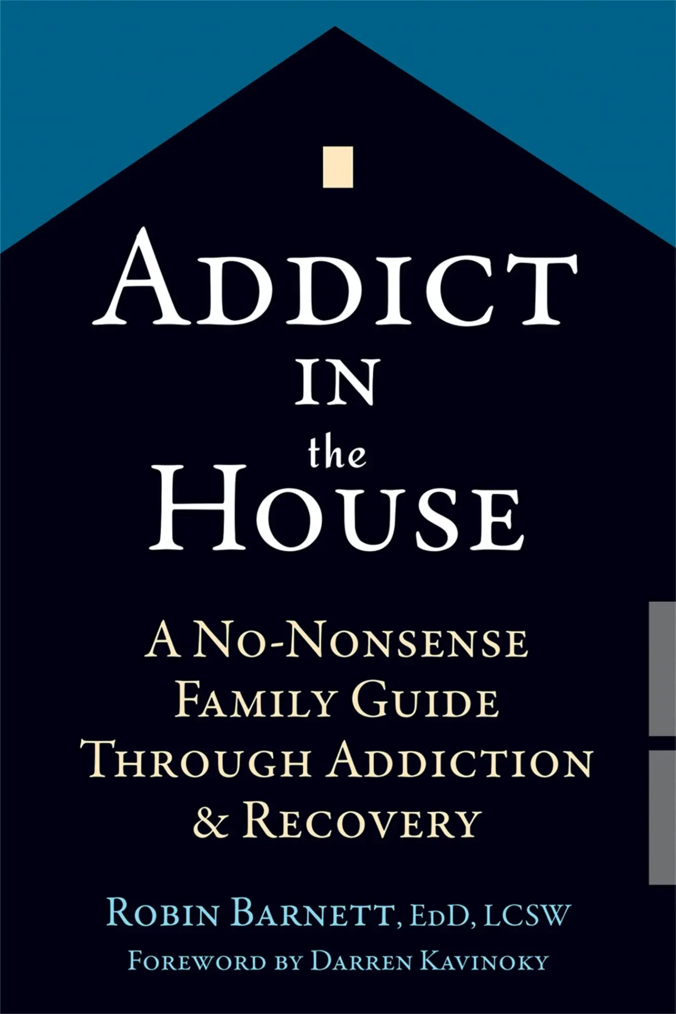 Cover: 9781626252608 | Addict in the House | Robin Barnett | Taschenbuch | Englisch | 2016