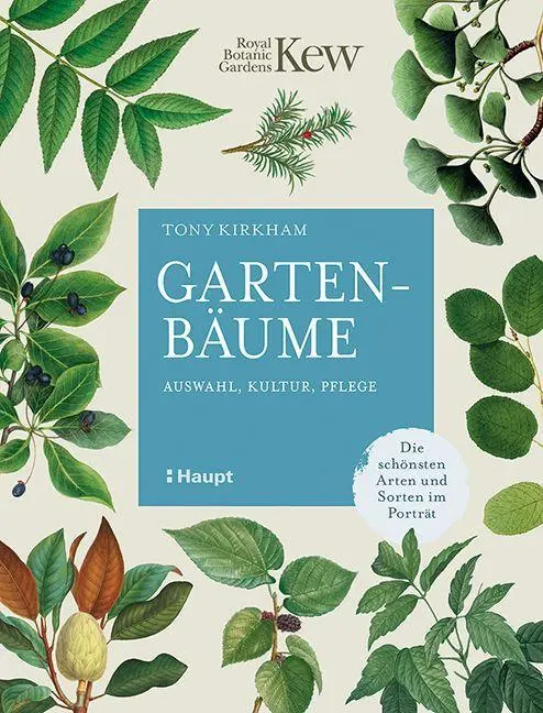 Cover: 9783258082608 | Gartenbäume | Tony Kirkham | Buch | 144 S. | Deutsch | 2022