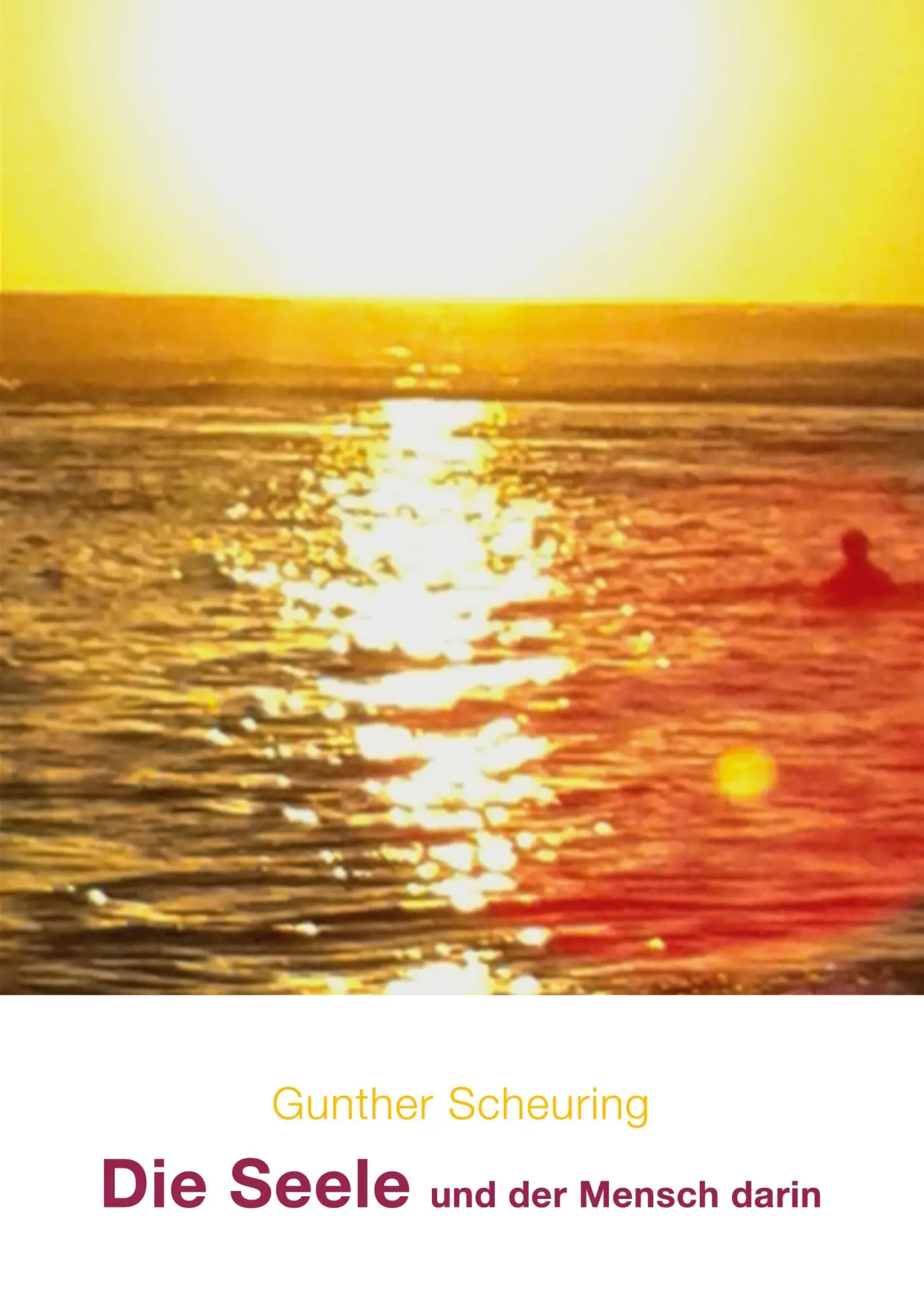 Cover: 9783384882608 | Die Seele und der Mensch darin | Gunther Scheuring | Taschenbuch