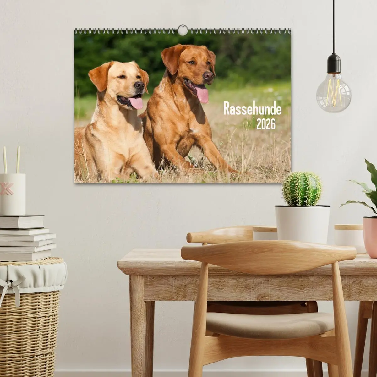 Bild: 9783516162608 | Rassehunde (Wandkalender 2026 DIN A3 quer), CALVENDO Monatskalender