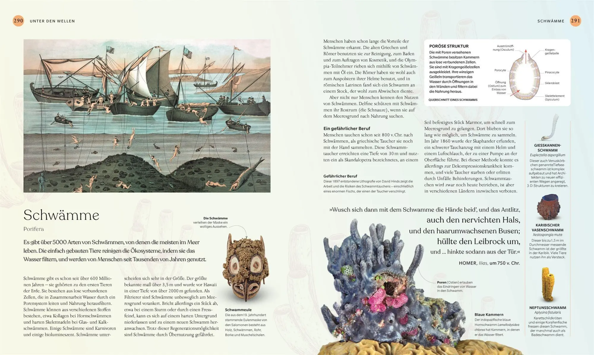 Bild: 9783831052608 | Ozeane | Dorrik Stow (u. a.) | Buch | DK Faszinierende Welt | 320 S.