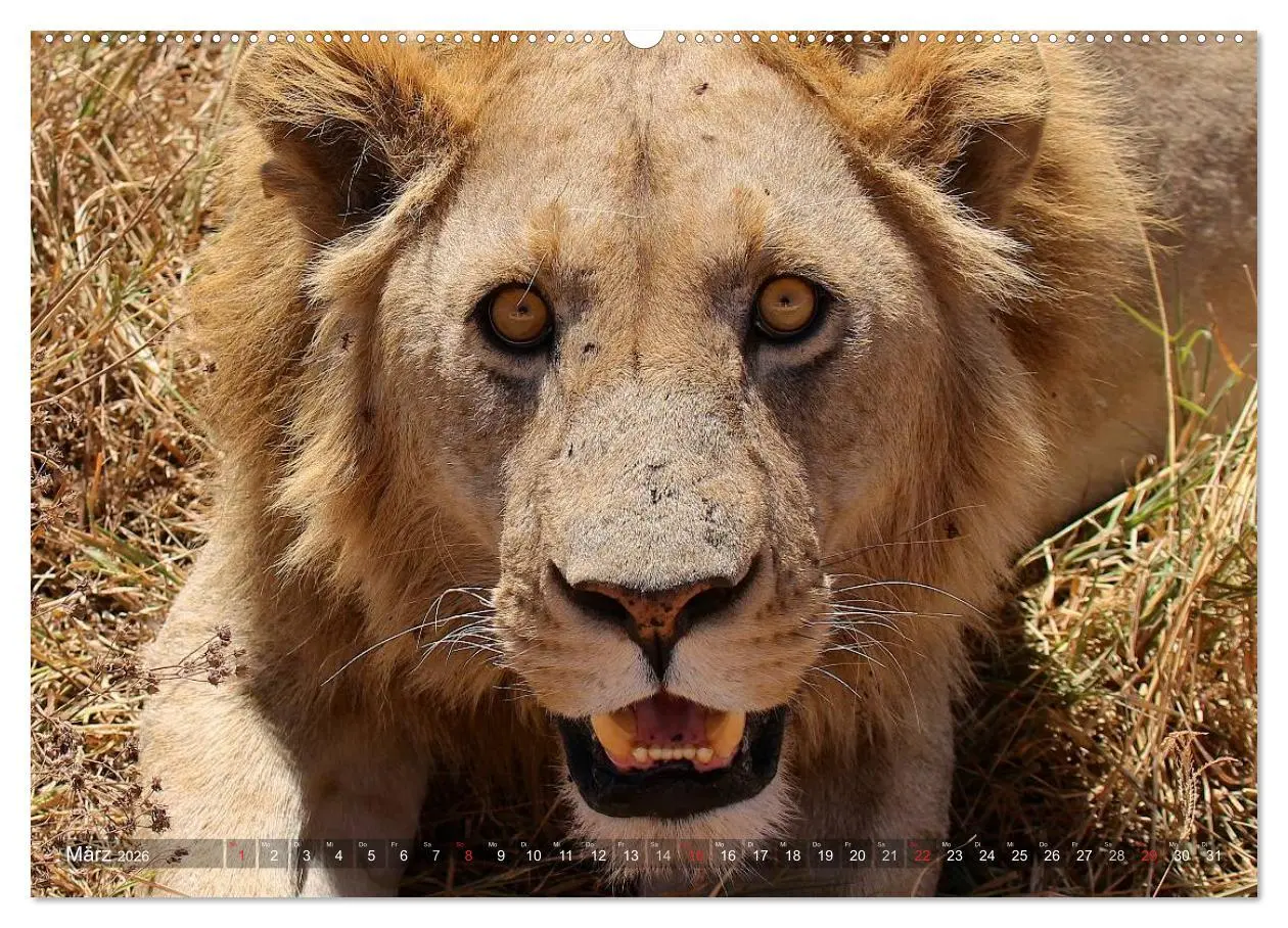Bild: 9783457992708 | Tansania - Faszinierendes Afrika (hochwertiger Premium Wandkalender...