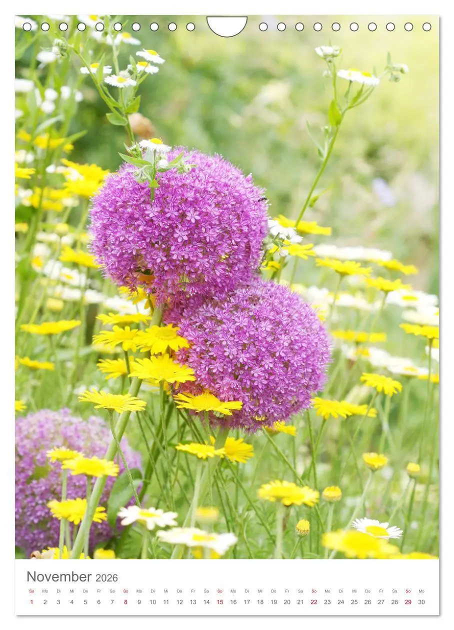 Bild: 9783516392708 | Bunter Sommer (Wandkalender 2026 DIN A4 hoch), CALVENDO Monatskalender