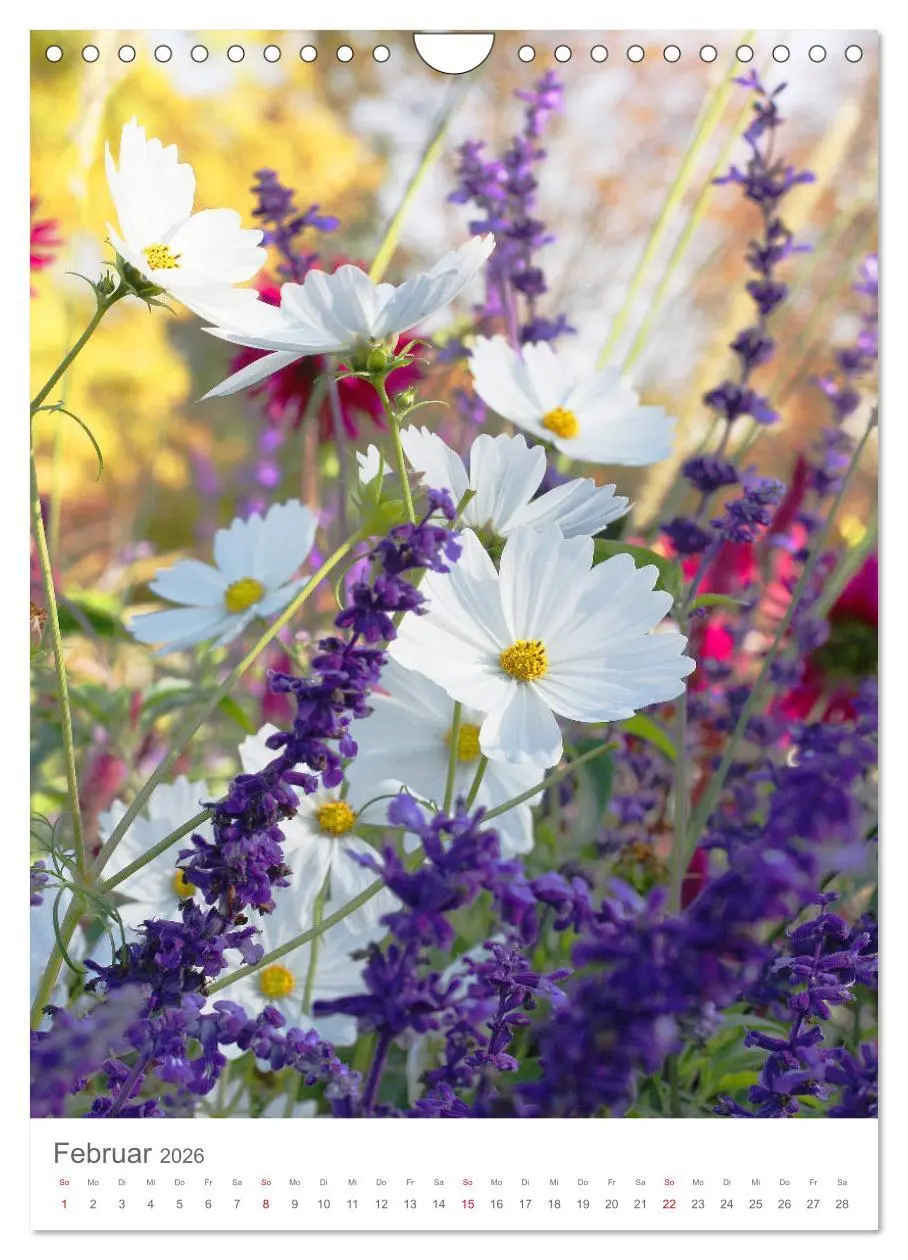 Bild: 9783516392708 | Bunter Sommer (Wandkalender 2026 DIN A4 hoch), CALVENDO Monatskalender