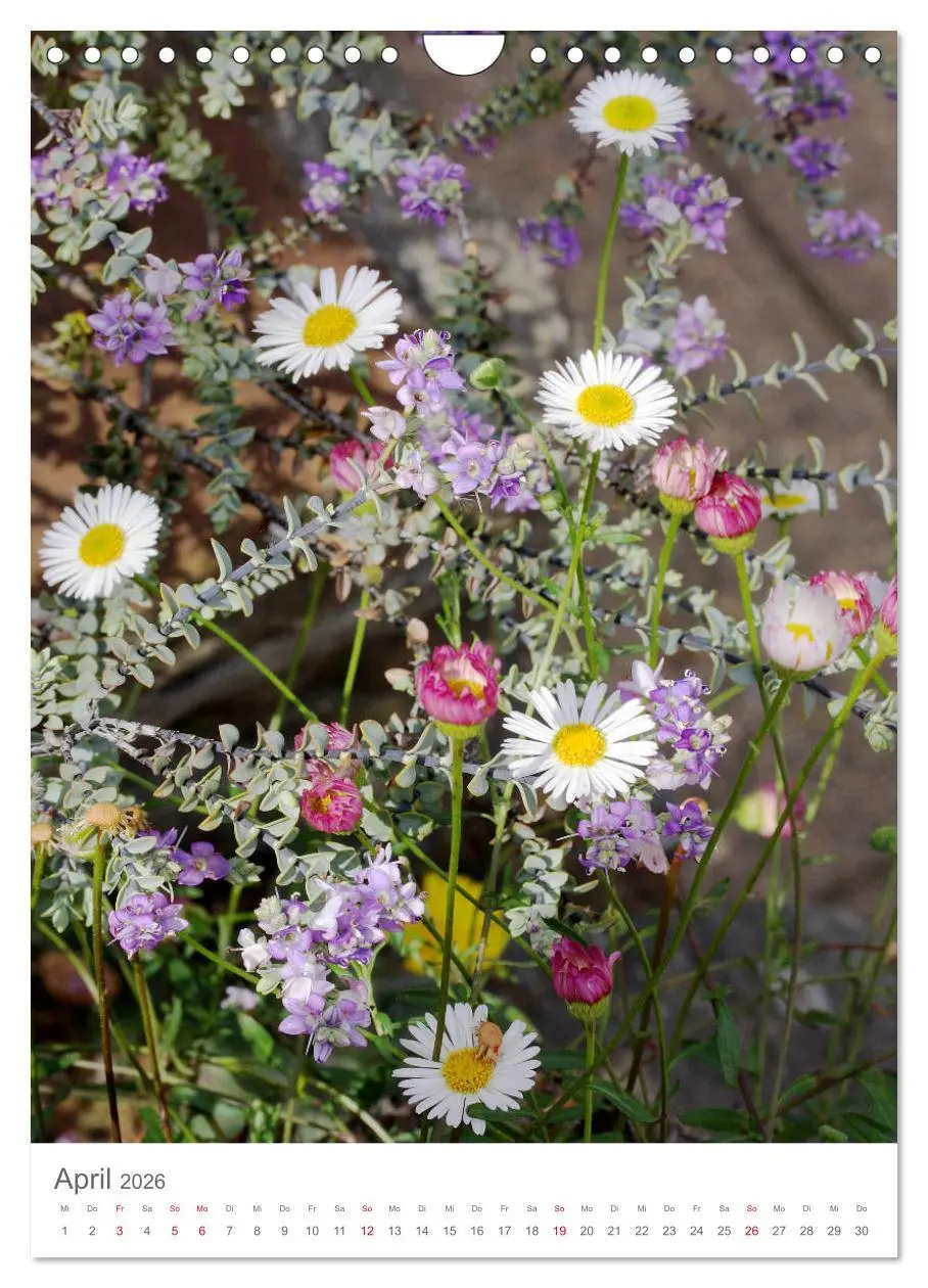 Bild: 9783516392708 | Bunter Sommer (Wandkalender 2026 DIN A4 hoch), CALVENDO Monatskalender